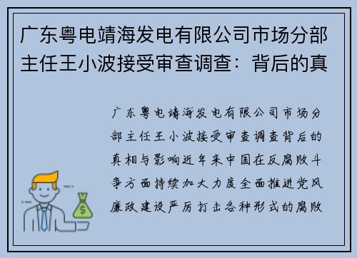 广东粤电靖海发电有限公司市场分部主任王小波接受审查调查：背后的真相与影响